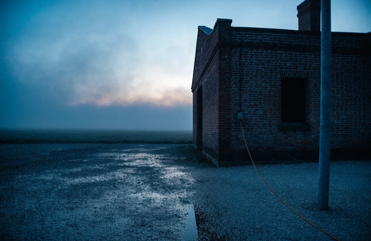 Utility poles along a fogged valley road at dusk